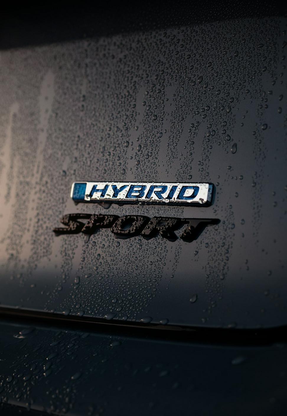 Hybrid Powertrain Service